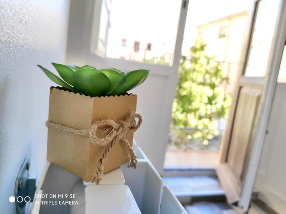 Varela Centro Granada Center Apartman Kültér fotó